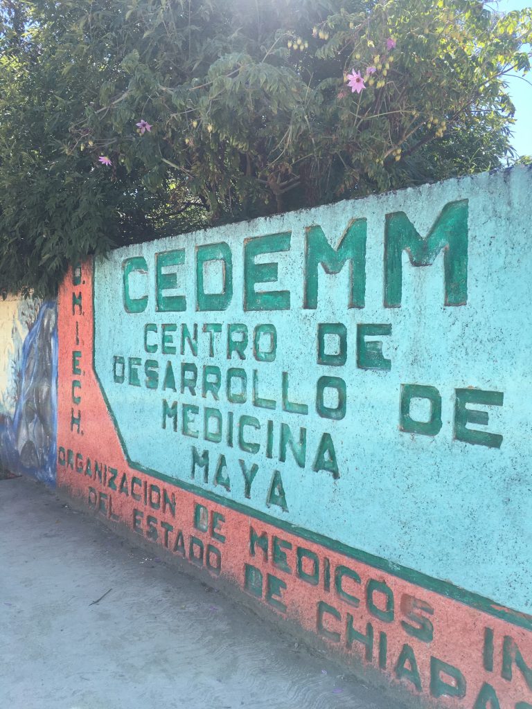 Musée de la médecine maya mur